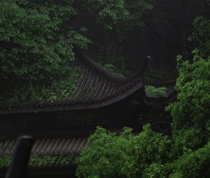 Preview wallpaper pagoda, architecture, trees, greenery, nature