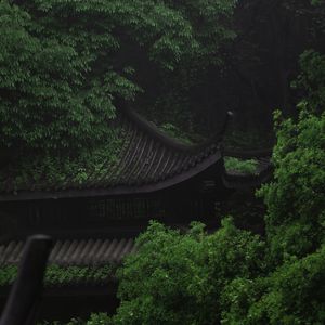 Preview wallpaper pagoda, architecture, trees, greenery, nature