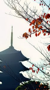 Preview wallpaper pagoda, branches, autumn, leaves, japan