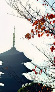 Preview wallpaper pagoda, branches, autumn, leaves, japan