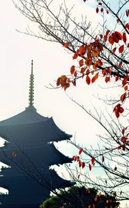 Preview wallpaper pagoda, branches, autumn, leaves, japan