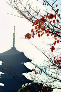 Preview wallpaper pagoda, branches, autumn, leaves, japan