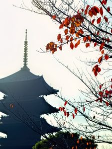 Preview wallpaper pagoda, branches, autumn, leaves, japan