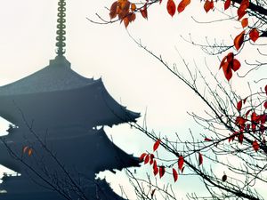 Preview wallpaper pagoda, branches, autumn, leaves, japan