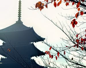 Preview wallpaper pagoda, branches, autumn, leaves, japan