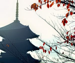 Preview wallpaper pagoda, branches, autumn, leaves, japan