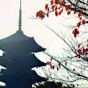 Preview wallpaper pagoda, branches, autumn, leaves, japan