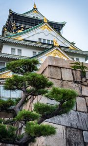 Preview wallpaper pagoda, building, architecture, tree, pine needles