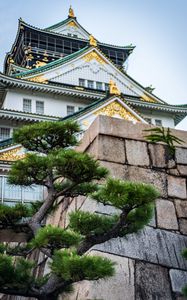 Preview wallpaper pagoda, building, architecture, tree, pine needles