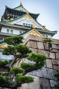 Preview wallpaper pagoda, building, architecture, tree, pine needles