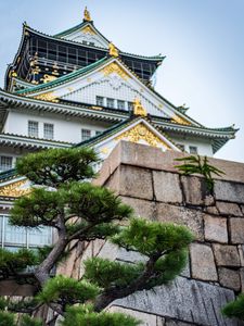 Preview wallpaper pagoda, building, architecture, tree, pine needles