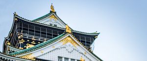 Preview wallpaper pagoda, building, architecture, tree, pine needles