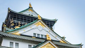 Preview wallpaper pagoda, building, architecture, tree, pine needles