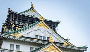 Preview wallpaper pagoda, building, architecture, tree, pine needles