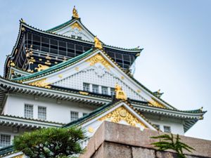 Preview wallpaper pagoda, building, architecture, tree, pine needles