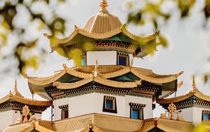 Preview wallpaper pagoda, building, architecture, trees, bushes