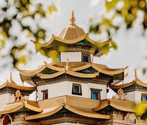 Preview wallpaper pagoda, building, architecture, trees, bushes