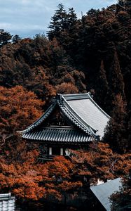 Preview wallpaper pagoda, building, architecture, roof, trees