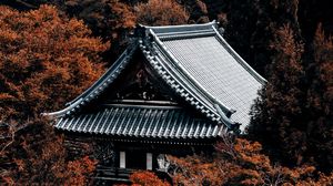 Preview wallpaper pagoda, building, architecture, roof, trees