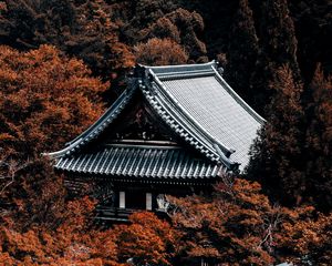 Preview wallpaper pagoda, building, architecture, roof, trees