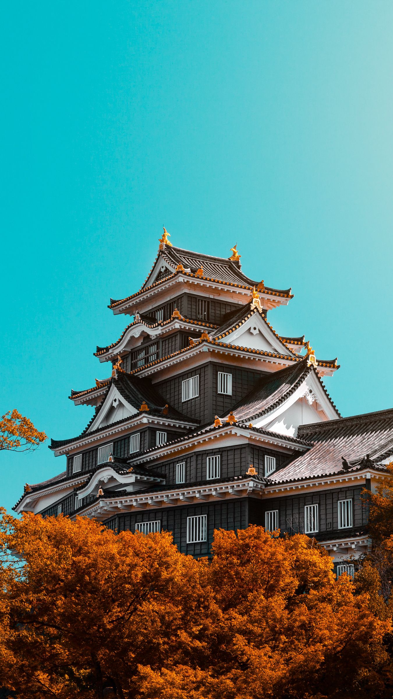 Japanese Style Pagoda To Five Storey Called Chureito Surrounded By  Beautiful Mountain Sakura Fujisan Background Hd Wallpaper Download For  Mobile  Wallpapers13com