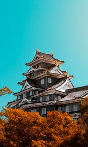 Preview wallpaper pagoda, building, architecture, trees, autumn