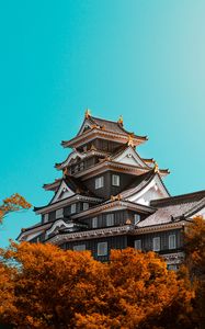 Preview wallpaper pagoda, building, architecture, trees, autumn