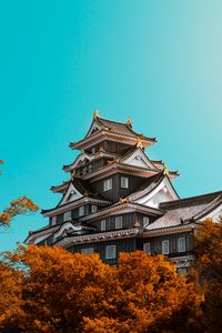 Preview wallpaper pagoda, building, architecture, trees, autumn