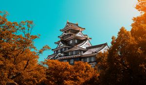 Preview wallpaper pagoda, building, architecture, trees, autumn