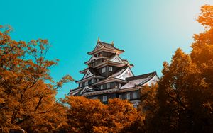 Preview wallpaper pagoda, building, architecture, trees, autumn