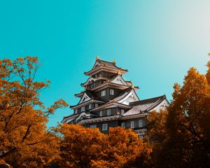 Preview wallpaper pagoda, building, architecture, trees, autumn