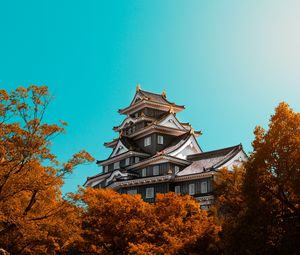 Preview wallpaper pagoda, building, architecture, trees, autumn