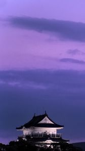 Preview wallpaper pagoda, building, asia, sky, dark