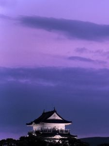 Preview wallpaper pagoda, building, asia, sky, dark