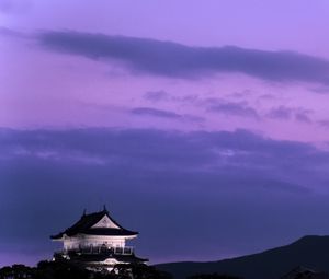 Preview wallpaper pagoda, building, asia, sky, dark