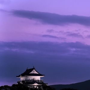 Preview wallpaper pagoda, building, asia, sky, dark