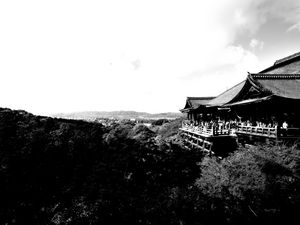 Preview wallpaper pagoda, building, asia, trees, bw