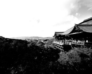 Preview wallpaper pagoda, building, asia, trees, bw