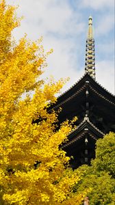 Preview wallpaper pagoda, building, japan, autumn, architecture