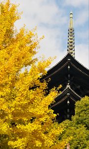 Preview wallpaper pagoda, building, japan, autumn, architecture