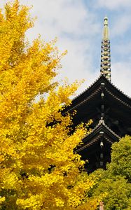 Preview wallpaper pagoda, building, japan, autumn, architecture