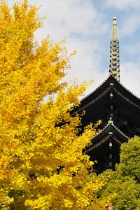 Preview wallpaper pagoda, building, japan, autumn, architecture