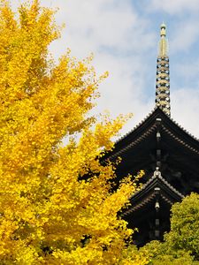 Preview wallpaper pagoda, building, japan, autumn, architecture