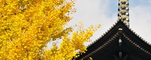 Preview wallpaper pagoda, building, japan, autumn, architecture