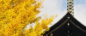 Preview wallpaper pagoda, building, japan, autumn, architecture