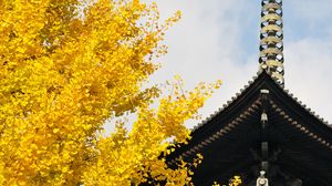 Preview wallpaper pagoda, building, japan, autumn, architecture