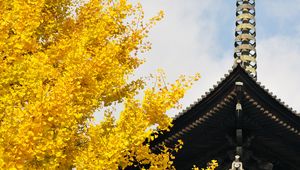 Preview wallpaper pagoda, building, japan, autumn, architecture