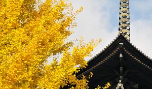 Preview wallpaper pagoda, building, japan, autumn, architecture