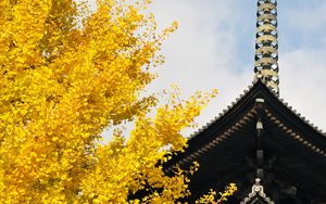 Preview wallpaper pagoda, building, japan, autumn, architecture