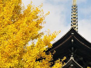 Preview wallpaper pagoda, building, japan, autumn, architecture